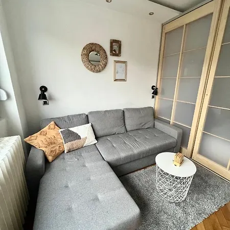 Comfortable In Hub Belgrade