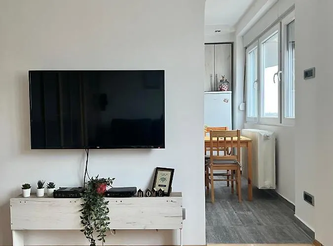 Lägenhet Comfortable In Hub Belgrad